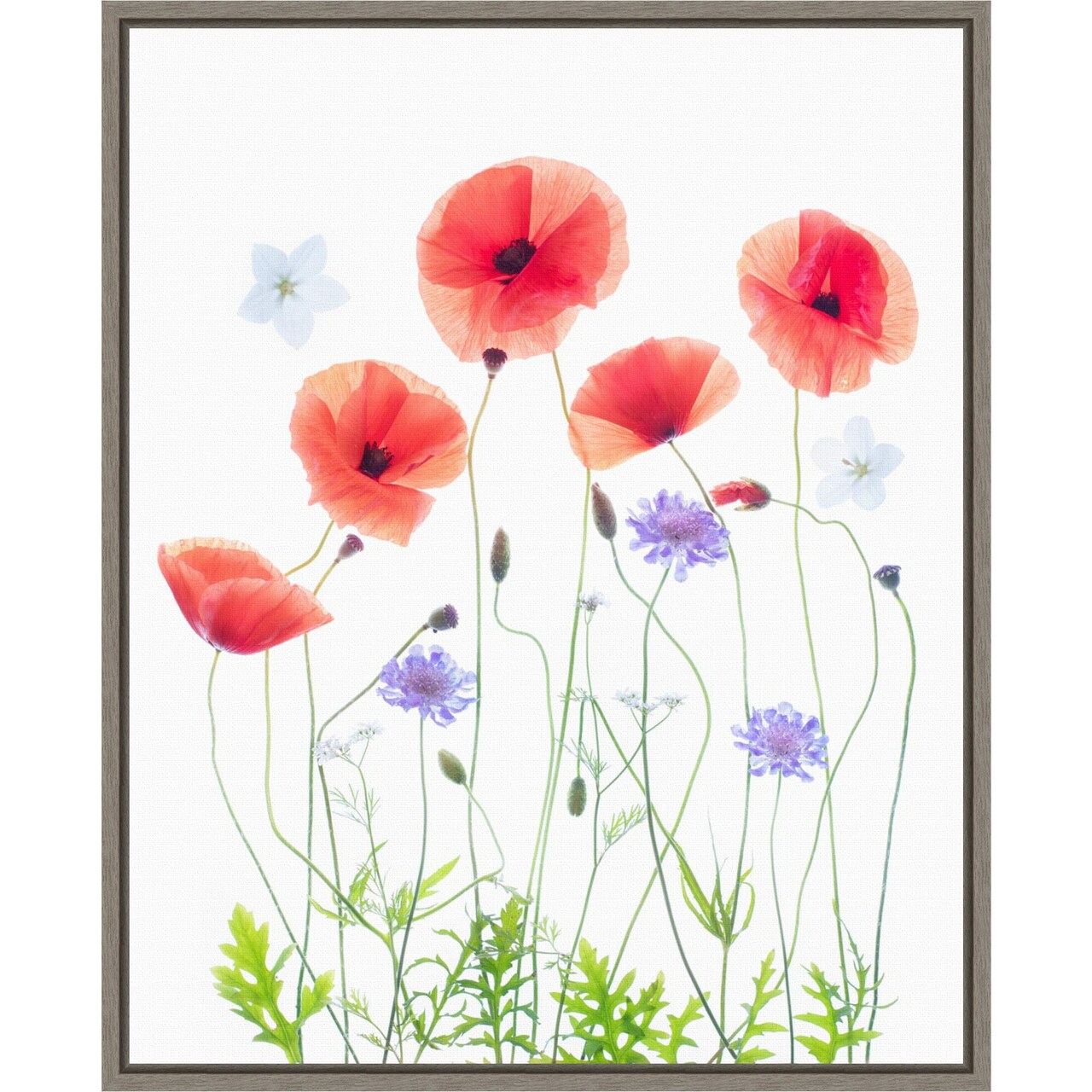 Poppy Garden by Sharon Williams 16-in. W x 20-in. H. Canvas Wall Art Print Framed in Grey